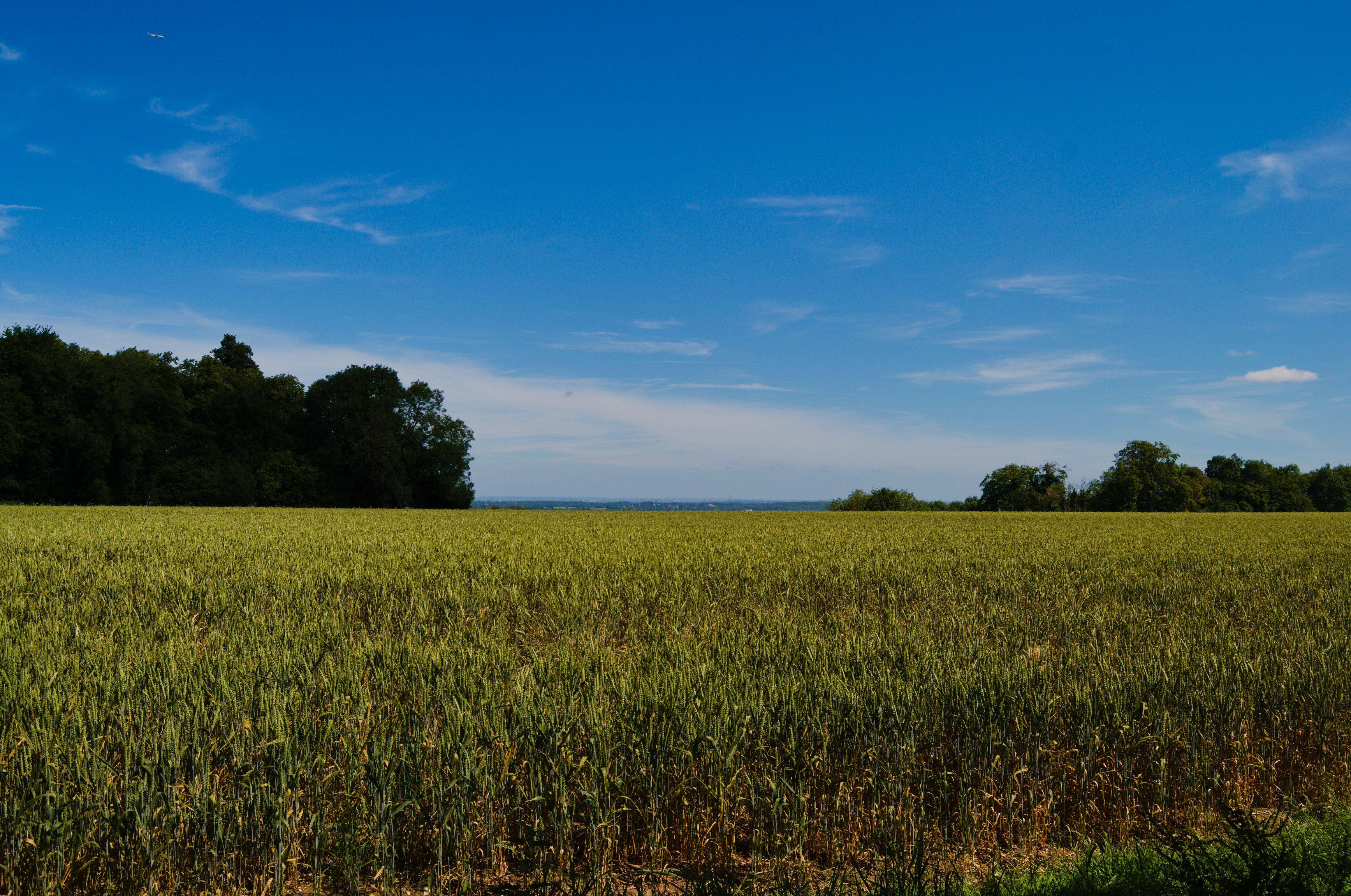 View from a field